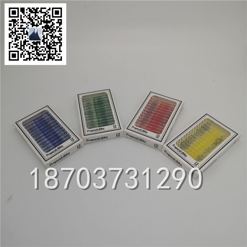 顯微鏡標(biāo)本 (3)