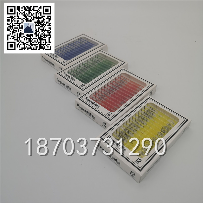 顯微鏡標(biāo)本 (4)